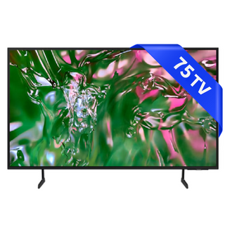 벽걸이형TV