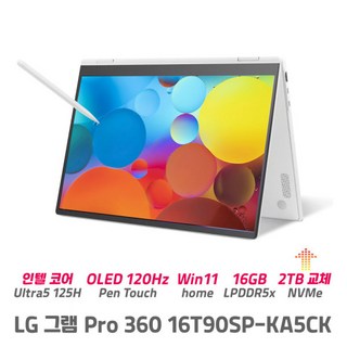 LG전자 LG 그램 16T90SP-KA5CK