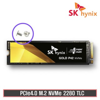 SK 하이닉스 Gold P42 M.2 Nvme (500GB), 500GB