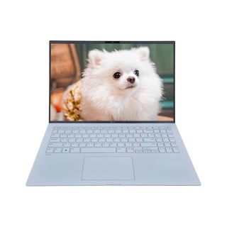 2. LG 그램 15..