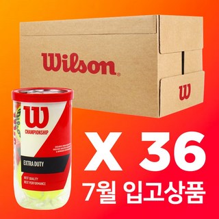 윌슨 챔피온 테니스볼