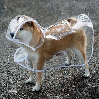 소요 강아지 우비 투명 레인코트, 1개, 화이트