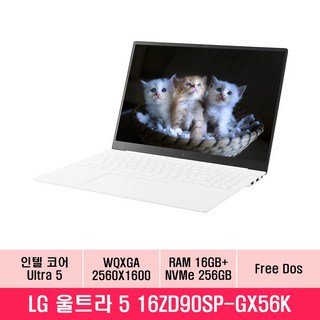 2025 LG 그램 Pro 16 코어 울트라5