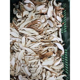 GAP인증 생표고버섯 가정용 상품, 1박스, 1kg(생표고슬라이스)