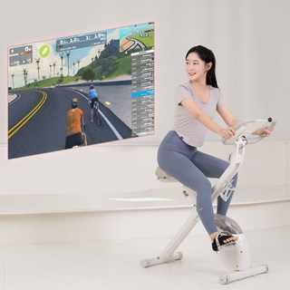 로베라 로블 실내자전거