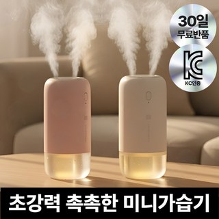 [KC인증] 더루마 포레스트 듀얼 미스트 미니 초음파 무선 휴대용 가습기, 퓨어화이트