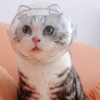 귀여운 고양이 얼굴커버 신형 손톱 발톱깎이 목욕 입질방지 안전한 보호장비, 1개, 투명