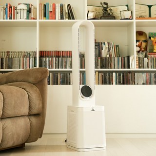 3. 모렌 6세대 저..