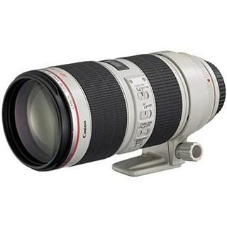캐논 EF 70-200mm F2.8L IS II USM 사용 모습