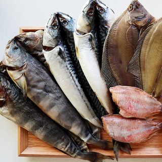 반건조생선 임연수 양미리 가자미 참가자미 볼락 코다리 우럭 서대박대 참돔 열기 민어 말린, 01. 반건조 참가자미, 소(28cm내외), 1개