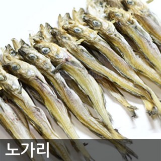 줄노가리 마른 노가리 앵치 업소용