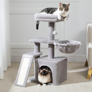 4. PAWZ Roa..