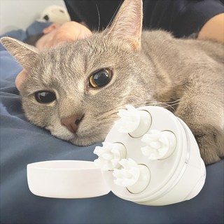 토이토 반려동물 전동 마사지기