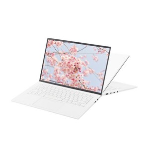 LG전자 2024 그램 14 코어i3 인텔 13세대, 스노우화이트, 14ZD90RU-GX56K, 512GB, 16GB, WIN11 Home