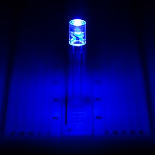 아두이노 LED(5파이 5mm 울트라 블라이트 전방평면 발광다이오드 Ultra Blight Flat Top LED) - 10개 묶음 0.1%의 비밀, 청색(푸른색), 1세트