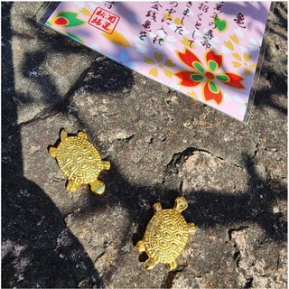 미니 금전운 거북이