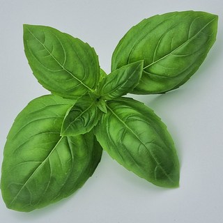 안산팜 스위트 바질 무농약 꼭 안산팜영농조합 판매자를 확인하세요 꼭이요 200g 1개 상품 이미지