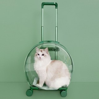 강아지 고양이 캐리어 이동 가방 애완동물 이동장, 1개
