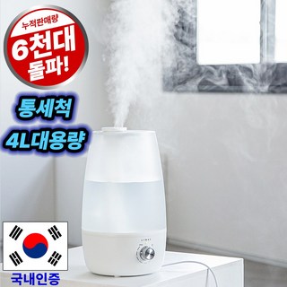 리웨이 통세척 대용량 가습기 4L, LWS-9940DP
