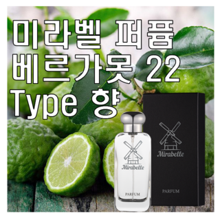 보태니컬 리페어 스트렝스닝 컨디셔너 200ml, 1개 아베다베르가못 12 미라벨 베르가못 22 향 오드퍼퓸, 1개, 100ml