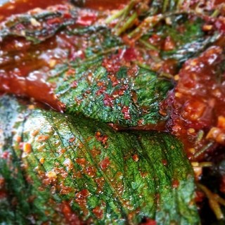 한정수량 향이 진한 생깻잎(햇) 무침 1kg 할인판매, 1개