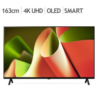 엘지 OLED TV 65B4FNA