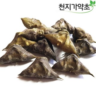 천지가약초 충남태안 햇 마름열매