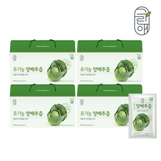 그린애 유기농 양배추즙 100 % 국산 저온추출 유기농양배추출액100% 선물세트, 120개, 90ml