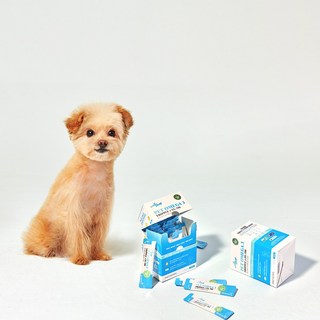 웰찹 식물성 강아지 고양이 펫 Omega 3 트리플 알티지 500 어취제로 알러지프리 30ea, 2개, 오메가3, 30회분