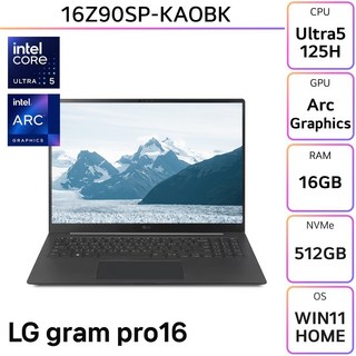 LG그램 프로 16Z90SP-KAOBK