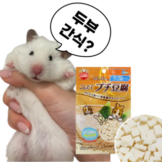 (best)마루칸 햄스터 간식, 1개, 10g