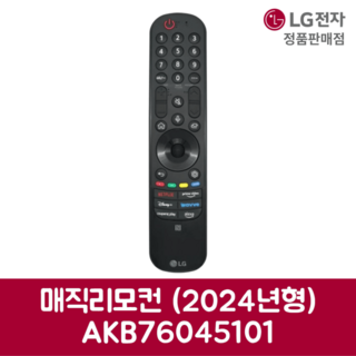 LG전자 엘지 정품 TV 매직리모컨 AKB76045101