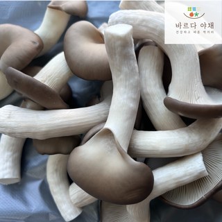 바르다야채 국내산 느타리버섯 특품, 1박스, 1kg