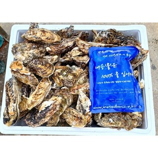 산지직송 세척 석화 각굴 5Kg 10Kg 산지직송/석화/각굴/캠핑요리/굴구이/굴찜 1박스, 석화 5kg