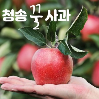 청송사과 부사 당도보장 2kg (신혼부부/1인용), 1박스