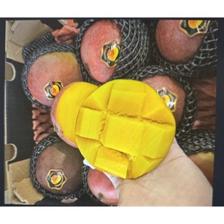 항공직송 수입 고당도 페루애플망고 달콤달콤, 1개, 4kg