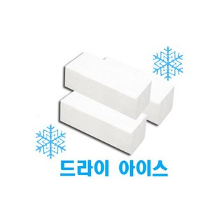 드라이아이스 10조각