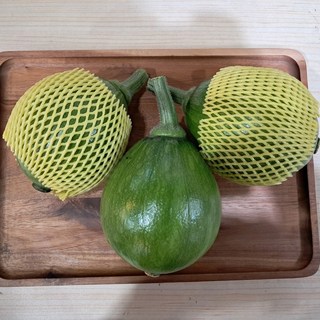 캠빌호박