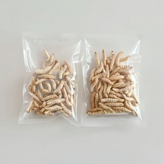 왁스웜월드 프리미엄 동결건조 왁스웜 계곡낚시용 떡밥 산천어 꺽지 특효 꿀벌부채명나방 천연미끼 계류 민물낚시 필수템, 10g, 2개