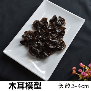 세트 샤브샤브 소고기 차돌박이 10개 10롤쇠고기롤모델 전시용 오네어 1등급, 목이버섯 20개 접시 1개