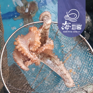 [해피랑 / HAPPYRANG] 산소포장 남해안 자연산 돌문어 1kg, 1개, 1kg(1미)