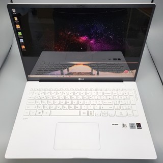 LG그램 30일 렌탈