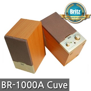 브리츠 2채널 220V PC