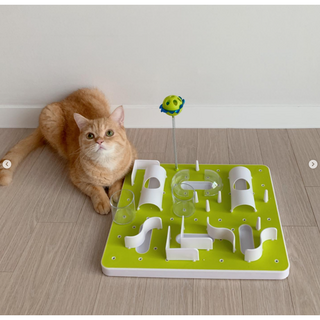 묘견인생 고양이 먹이퍼즐 푸드트릿 장난감 1개 상품 이미지