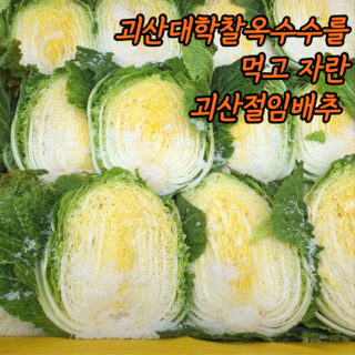 괴산 절임배추 절인배추, 1박스, 20kg