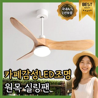 엘윈드 LED 실링팬