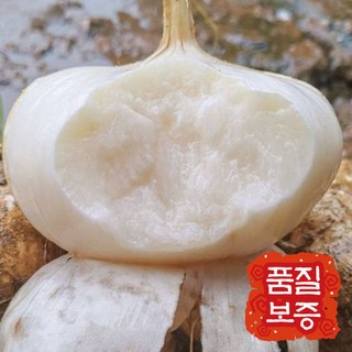 2. [10대 슈퍼푸..