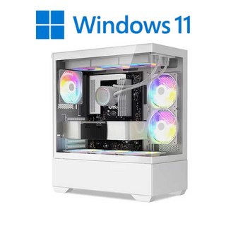 포유컴퓨터 게이밍 조립 PC 컴퓨터 윈도우 포함 본체, 화이트, W_01, 1GB, 1GB, WIN11 Home