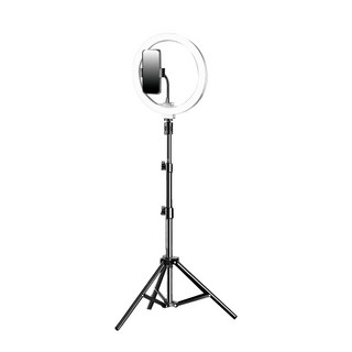 링라이트 항공샷 핸드폰 촬영 2.1m 스탠드 거치대세트 3가지 조명, 1개, WZ-RL0010 (32cm)