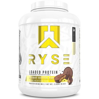 RYSE 로디드 단백 파우더 - 시나몬 토스트 - 프리바이오틱 섬유 및 MCT로 분리 및 농축 유청 단백 25g - 저탄수화물 저설탕 친화적 - 20회 분량 / 0.7kg(, 54 Servings (Pack of 1), Chocolate Peanut Butter Cup, 1개